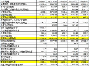 公司的肖像 麦趣尔，何不安守疆内业务