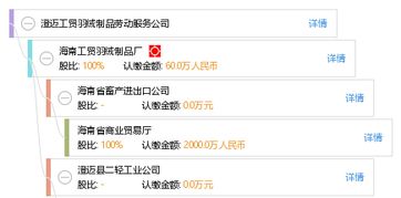 澄迈工贸羽绒制品劳动服务公司 工商信息、信用报告与经营业务全景解读