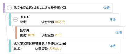 武汉市汉南区东城垸农场多种经营公司 工商信息与经营现状解析